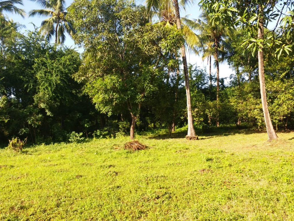 Plot for sale Kikambala